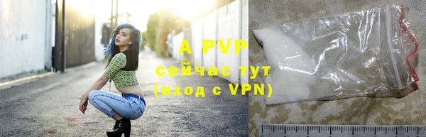 гидропоника Белокуриха