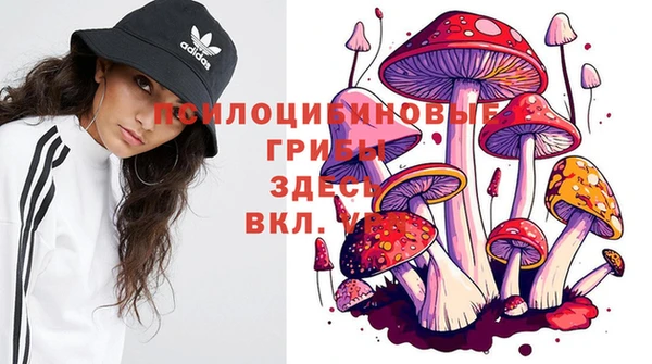 гидропоника Белокуриха