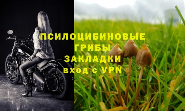ешки Белоозёрский