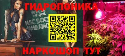 гидра Рузаевка