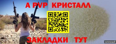 СК Рыбинск