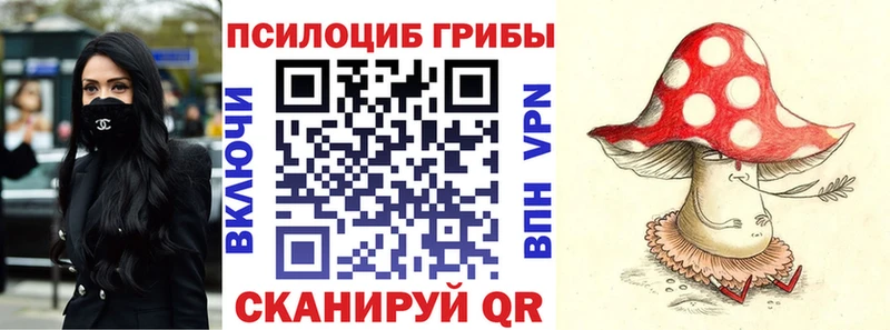 Псилоцибиновые грибы прущие грибы  Буйнакск 
